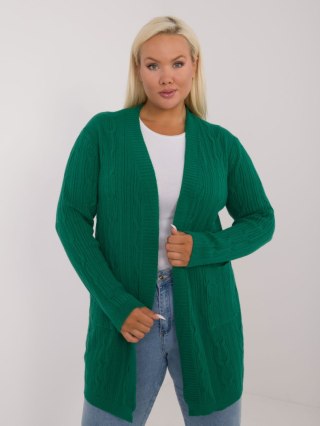 Sweter PM-SW-PM-3727.93 zielony XXL/XXXL