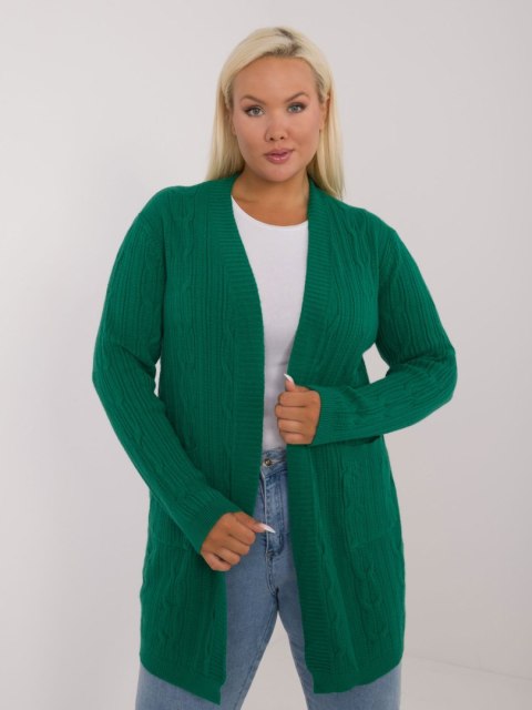 Sweter PM-SW-PM-3727.93 zielony XL/XXL