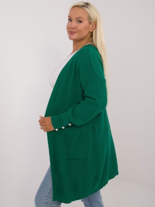 Sweter PM-SW-PM-3726.99 zielony XL/XXL